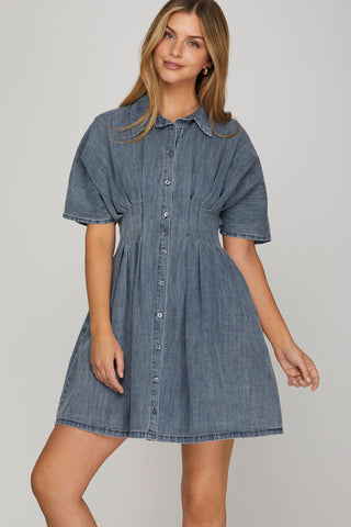Patricia Denim Dress