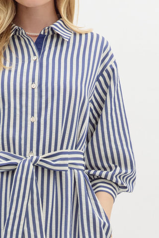 Jianna Navy Stripe Dress