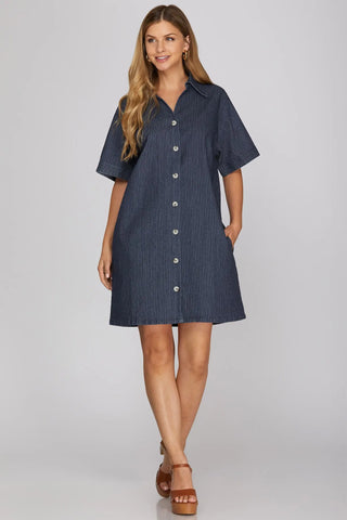 Willow Denim Button Down Dress