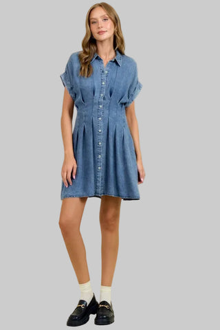 Leigh Medium Denim Dress