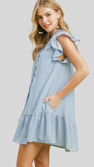 Rozzie Blue Stripe Dress