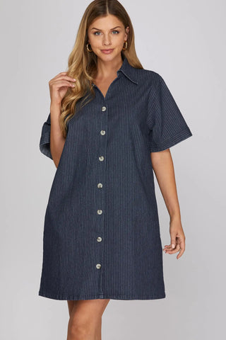 Willow Denim Button Down Dress