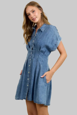 Leigh Medium Denim Dress