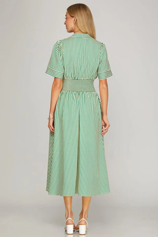 molly green dress Diane Von Furstenberg Molly Midi Dress