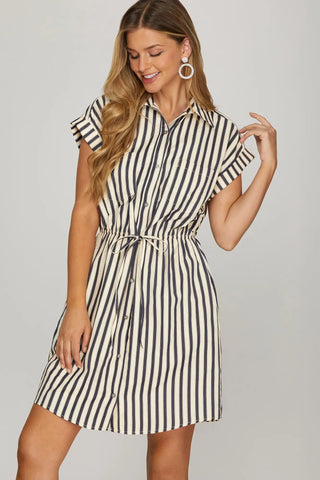 Karin Navy Stripe Dress